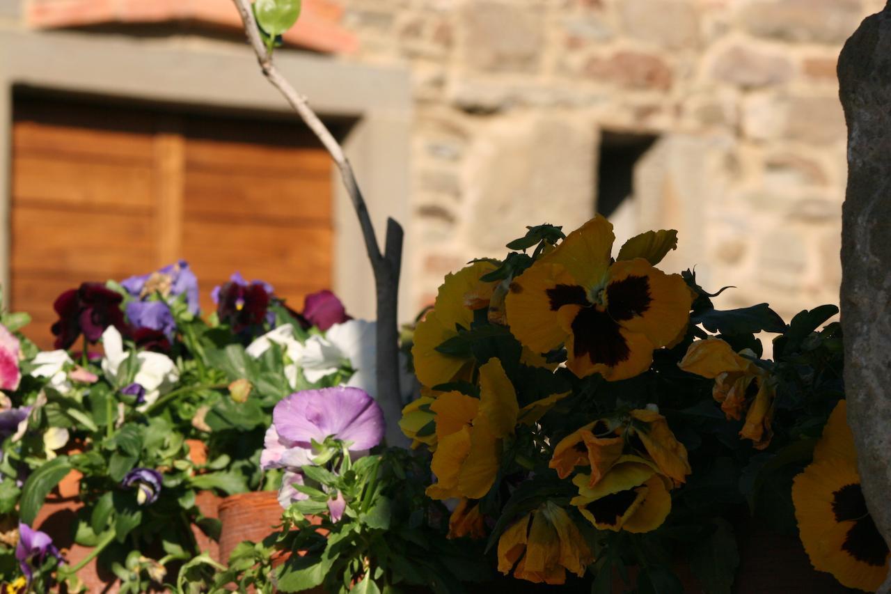 Podere Pian De' Cortini Villa Serravalle  Dış mekan fotoğraf